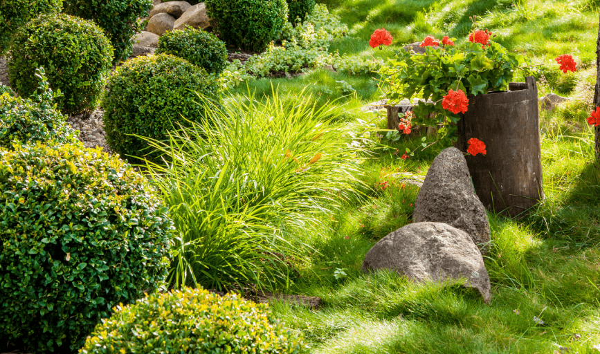 Landscape Design